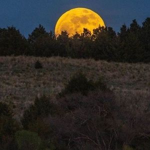 Meet your Posher, Arul